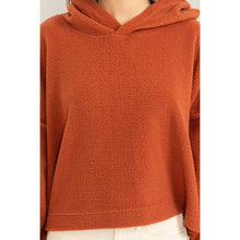 Load image into Gallery viewer, Warm Fluffy Fleece Oversized Crop Hoodie