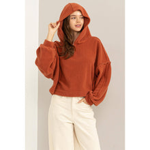 Load image into Gallery viewer, Warm Fluffy Fleece Oversized Crop Hoodie